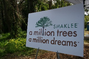 Shaklee's A Million Trees for a Million Dreams program.